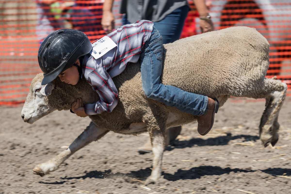 Farmers Days Rodeos Farmers Day – Sonoma County Fair And Event Center
