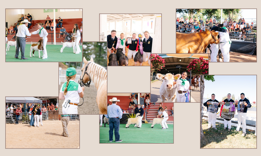 Livestock Exhibitors – Sonoma County Fair And Event Center