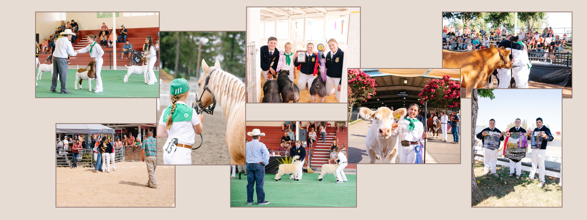 Livestock Exhibitors Sonoma County Fair And Event Center livestock-exhibitors-sonoma-county-fair-and-event-center