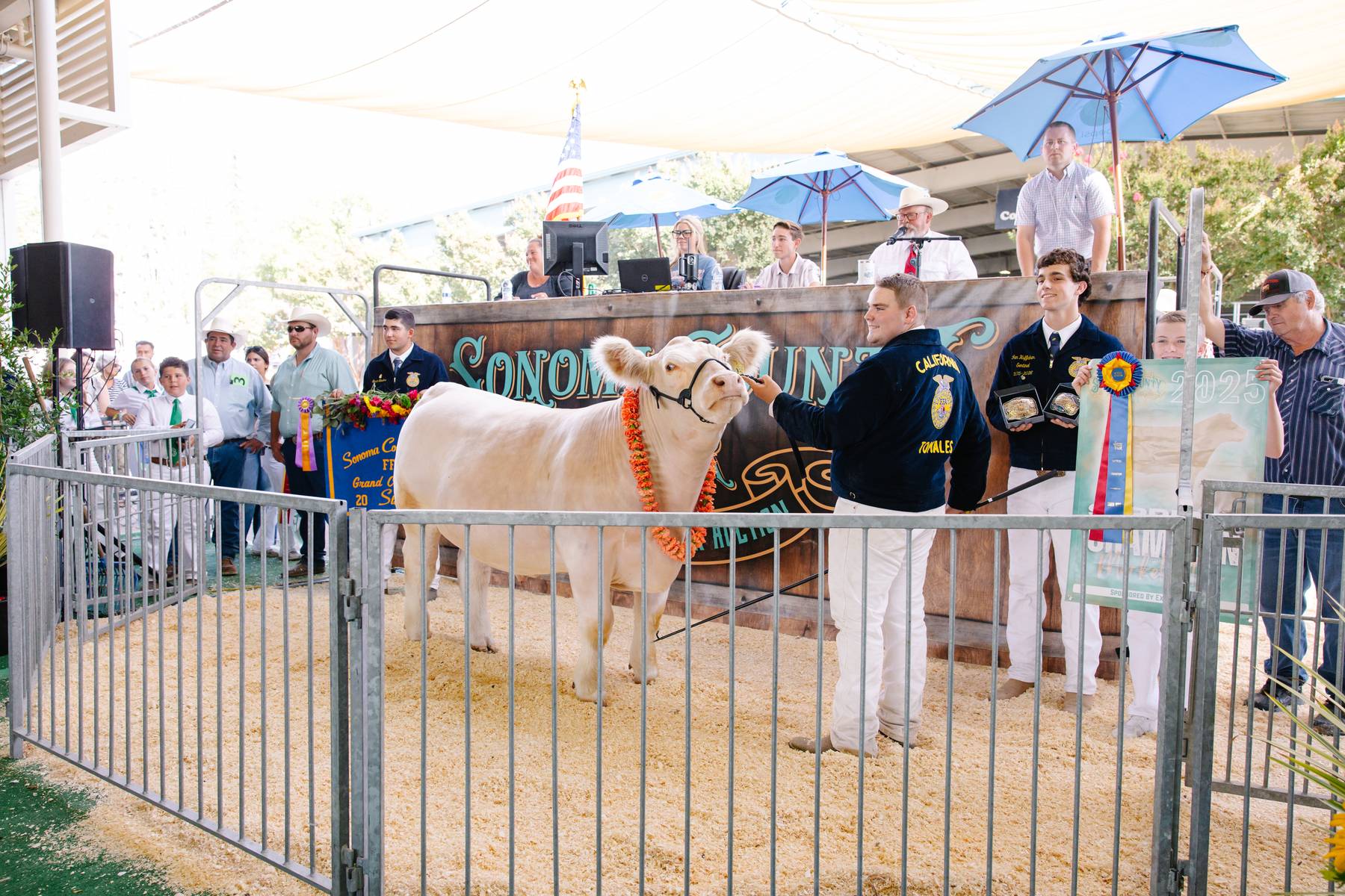 Auction Information Sonoma County Fair And Event Center auction-information-sonoma-county-fair-and-event-center