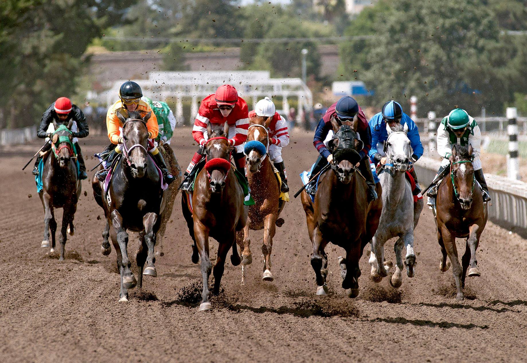 Sonoma County Fair And Event Center