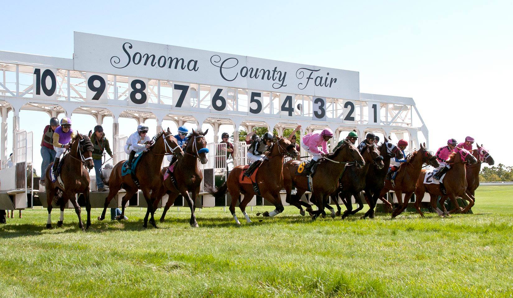 Wine Country Horse Racing Sonoma County Fair And Event Center